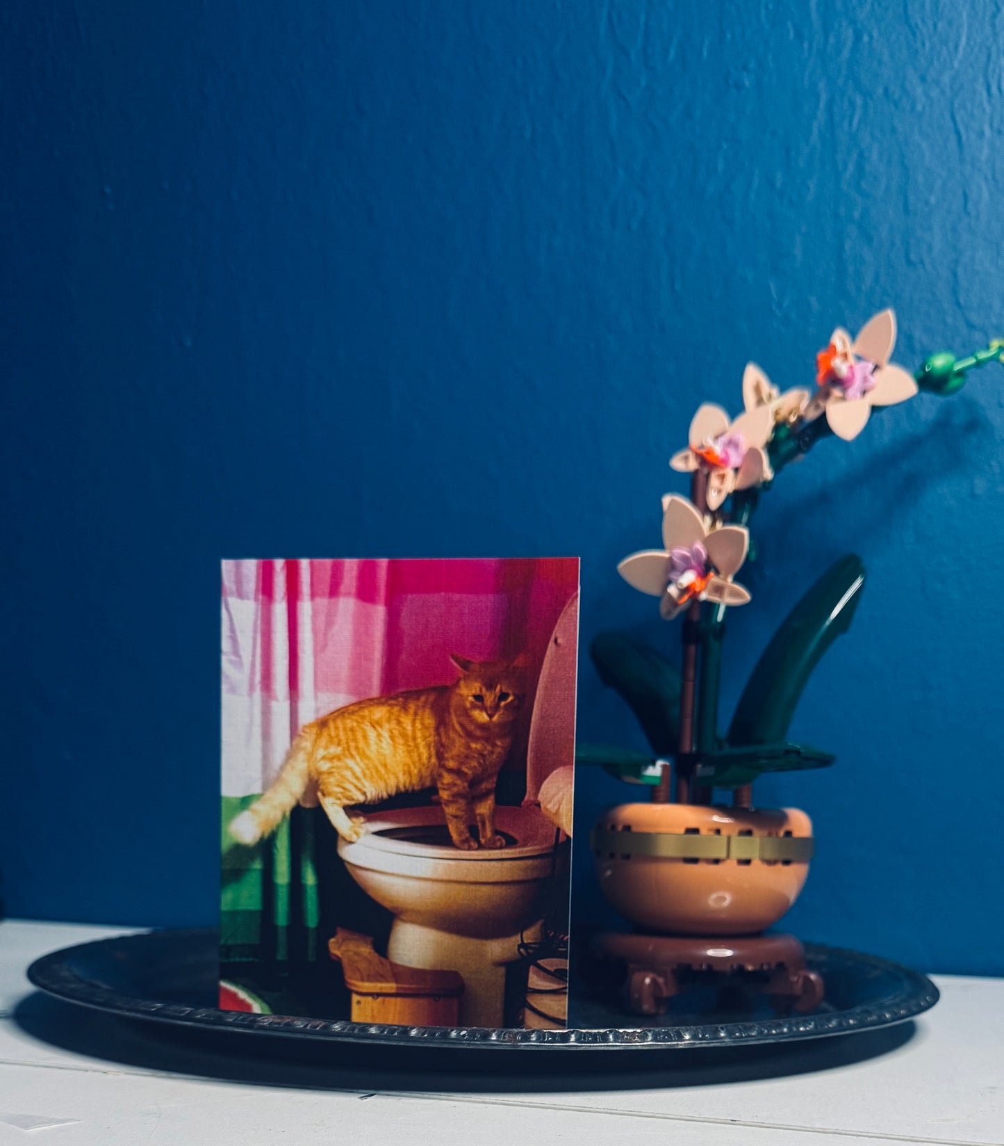 Gregory's Discovery Greeting Card