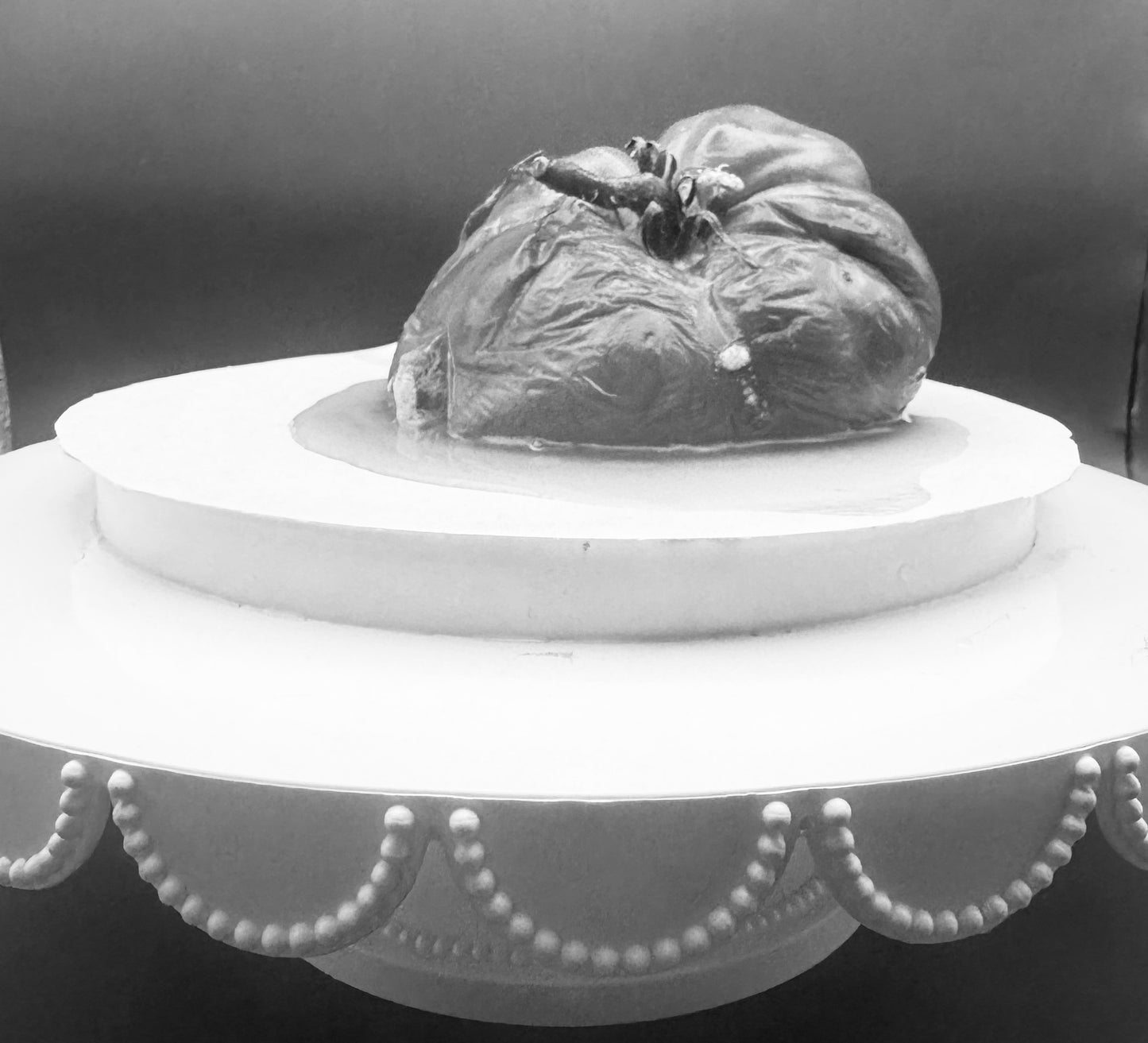 INFODUMP : 37 PIctures of This Rotten Tomato