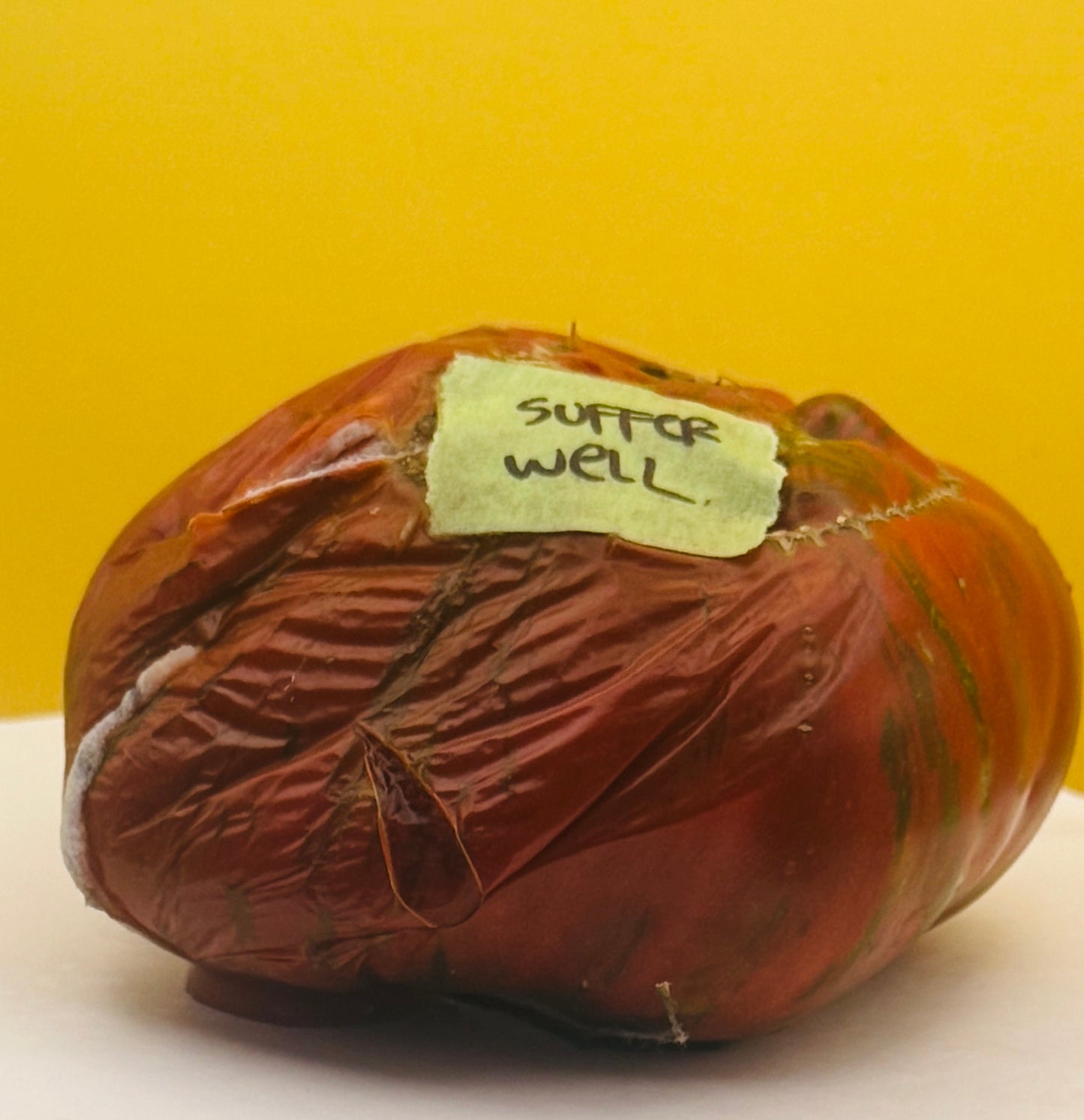 INFODUMP : 37 PIctures of This Rotten Tomato