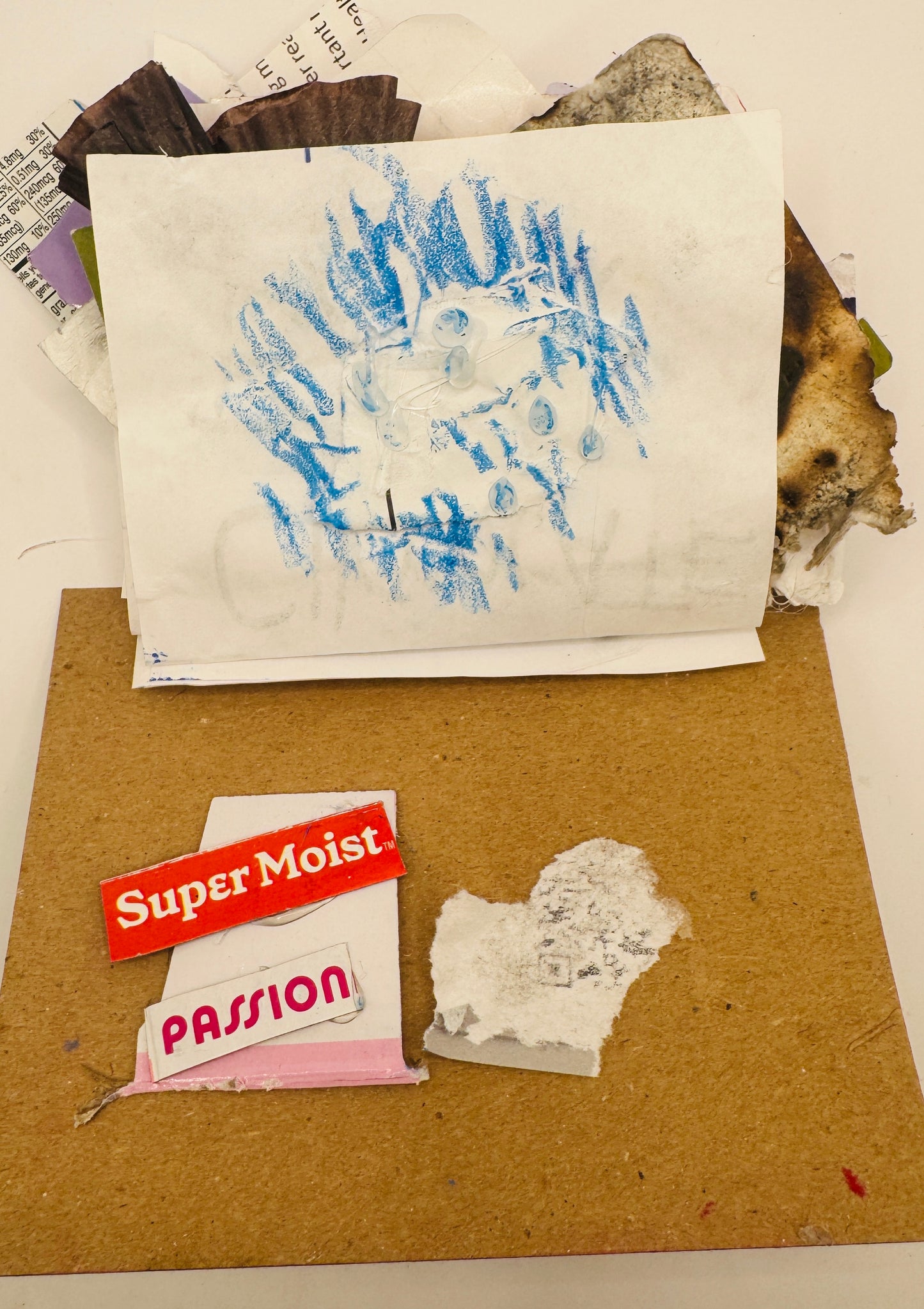 Garbage Journal Vol 1., I Like You Juicy