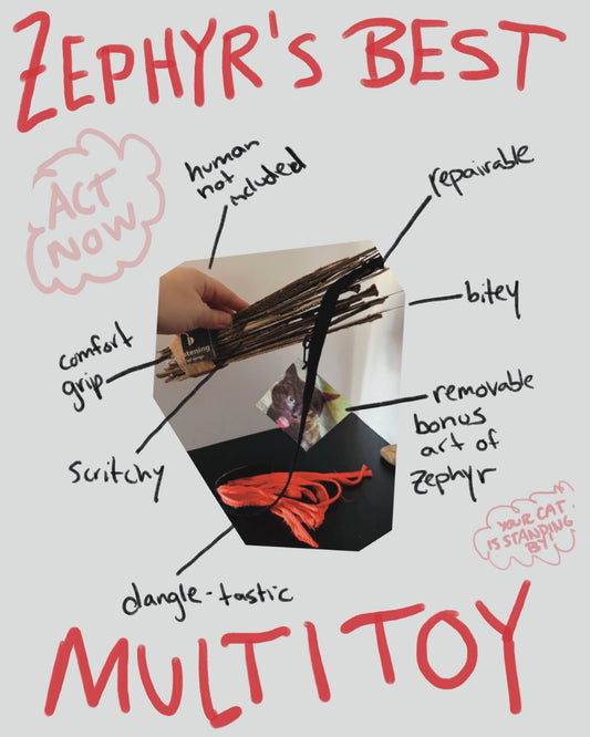 Zephyr's Best MultiToy