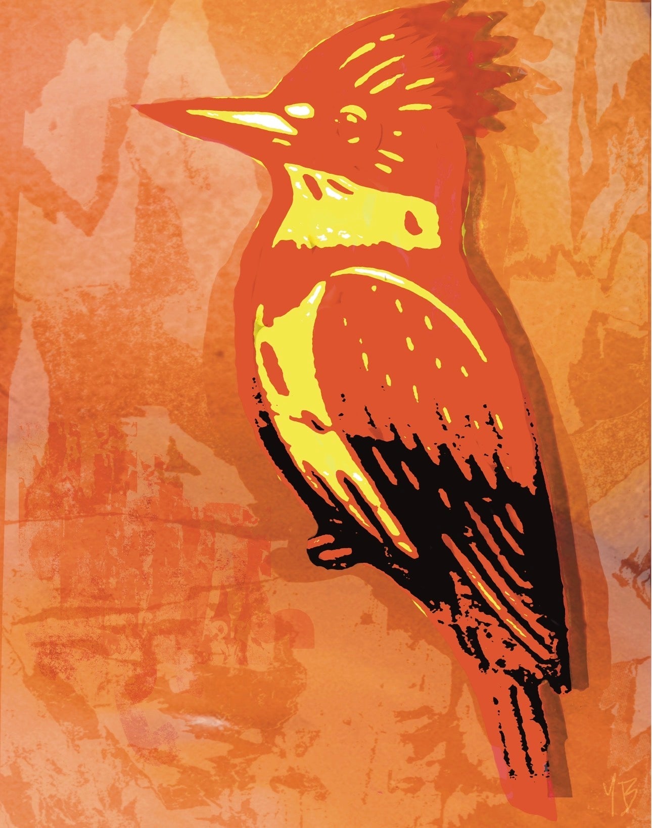 Yellow and black bird illustration on an orange background