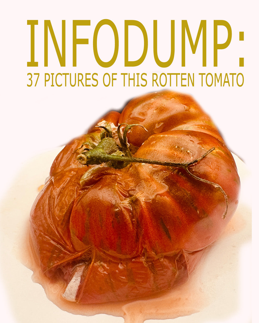 a rotten tomato with a white vein of mold is leaking and turning to mush. The ad says, "infodump: 37 pictures of this rotten tomato"