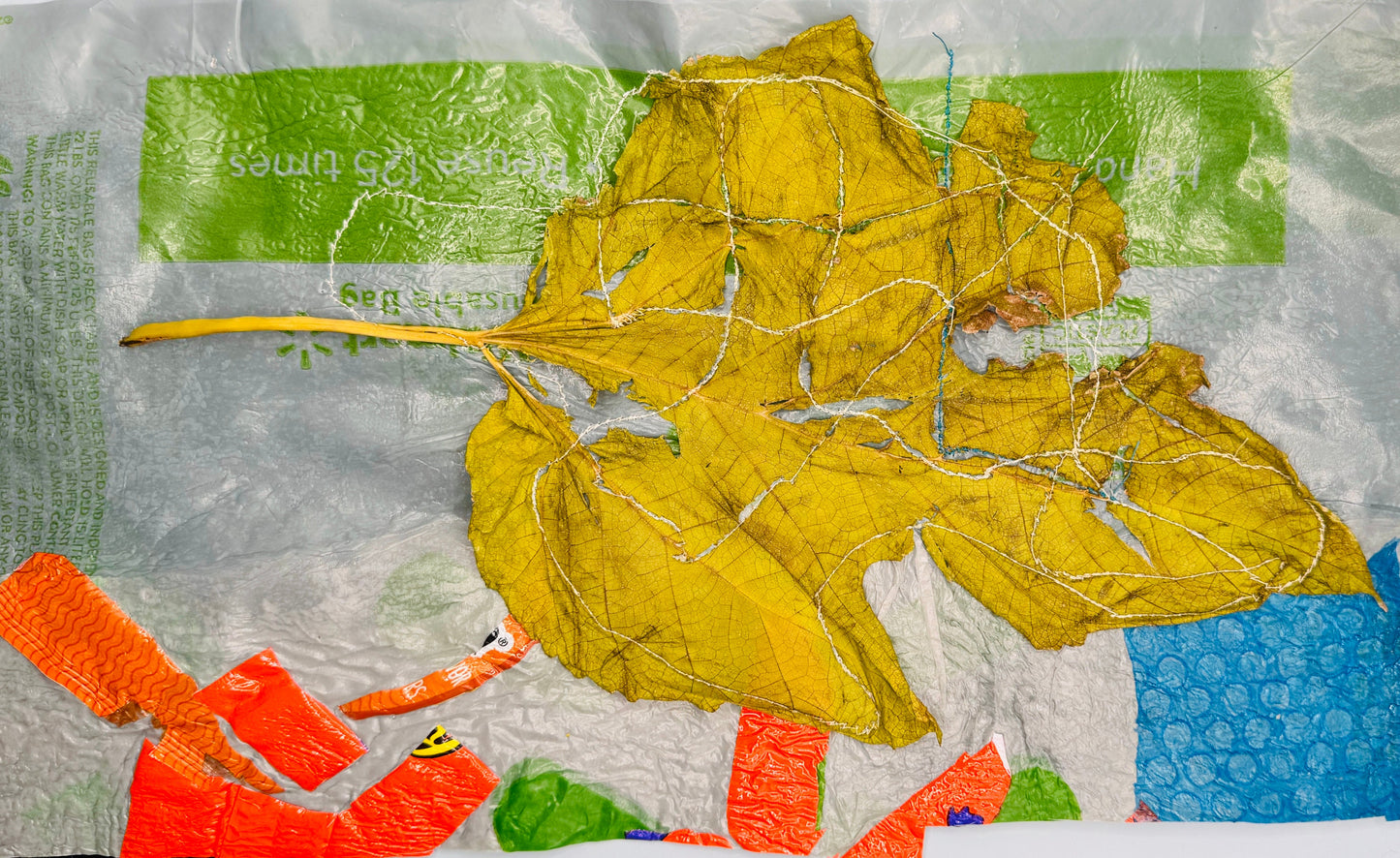 Commission: Deteriorating Leaf on Plastic