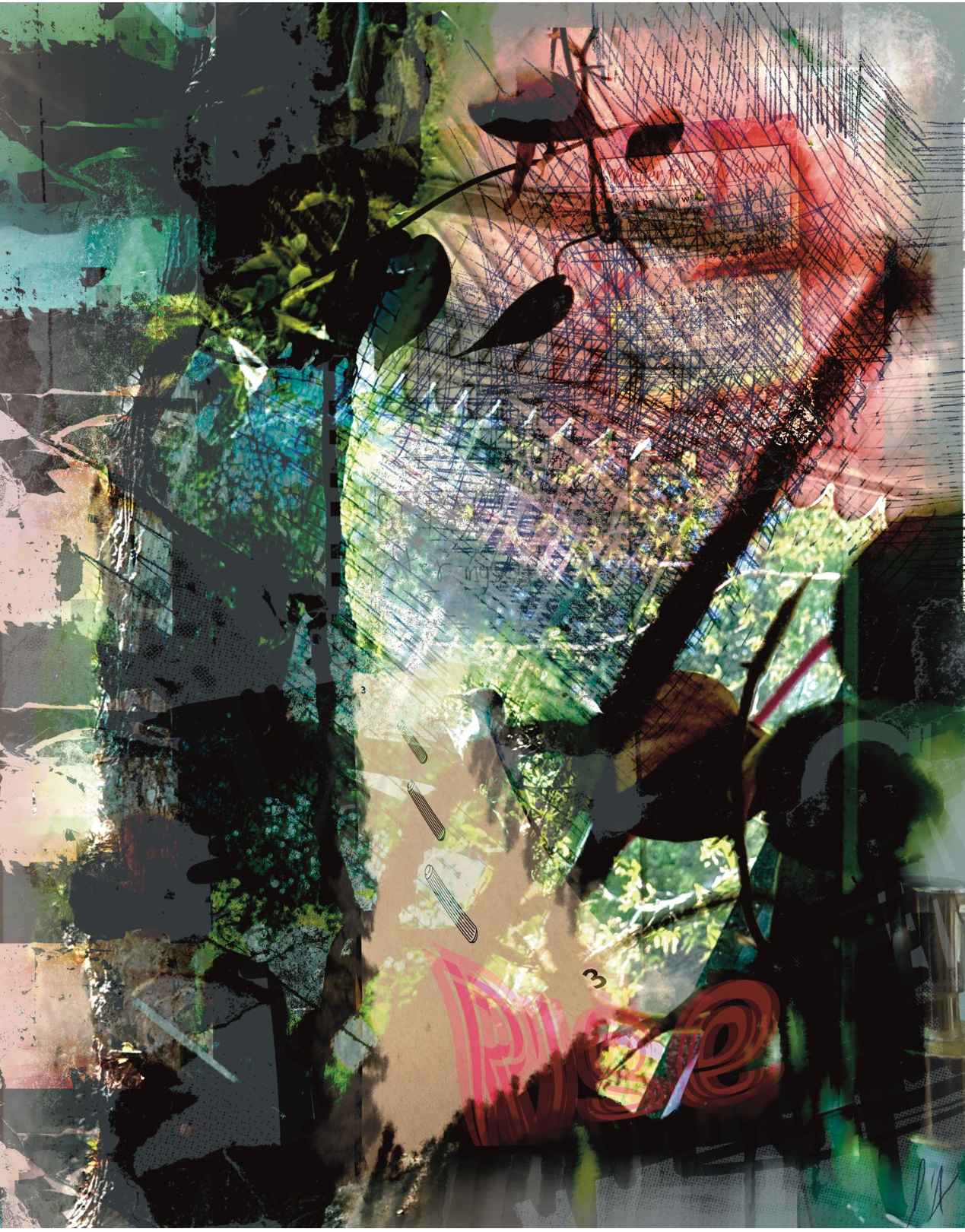 Rise - Print