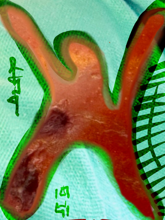 Preorder: Tomato Peel Dream