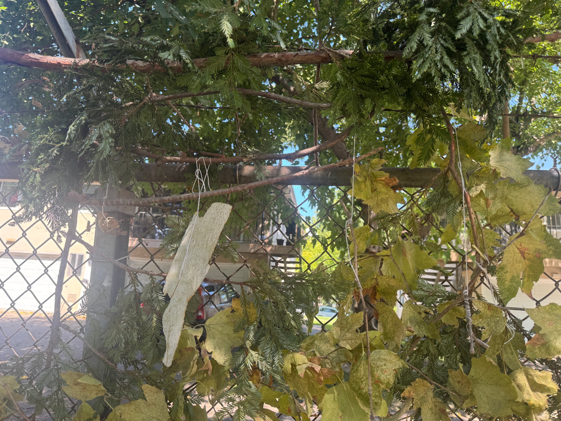 close up of windy day portal focused on a string tied around an epic piece of bark in the lower part of the installation